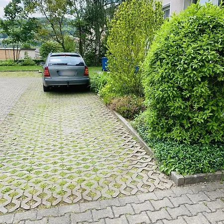 شقة Drei Am Rhein باد ساكنغن